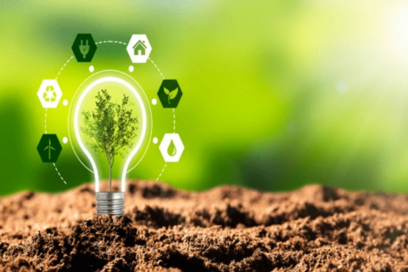 Mastering Skills in Green Tech: Your Guide to a Sustainable Future