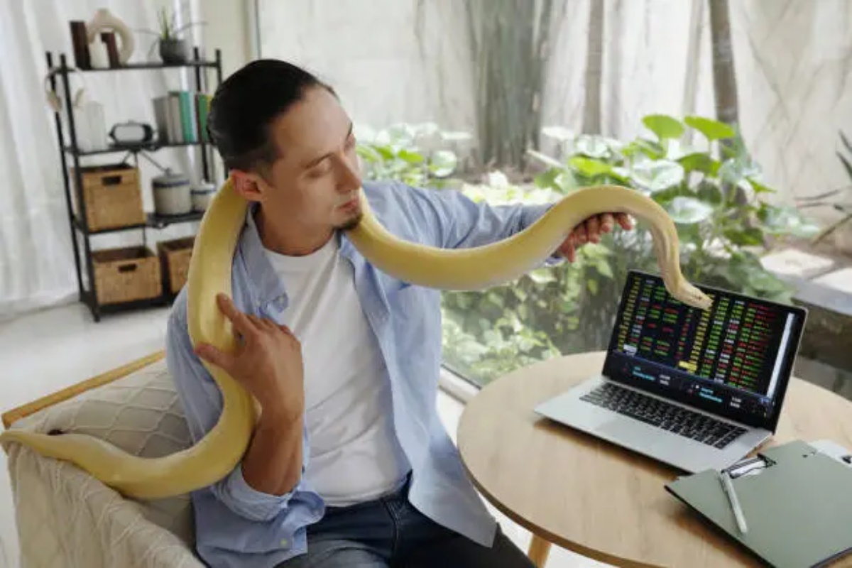 How to Handle Errors Gracefully in Python: A Complete Guide